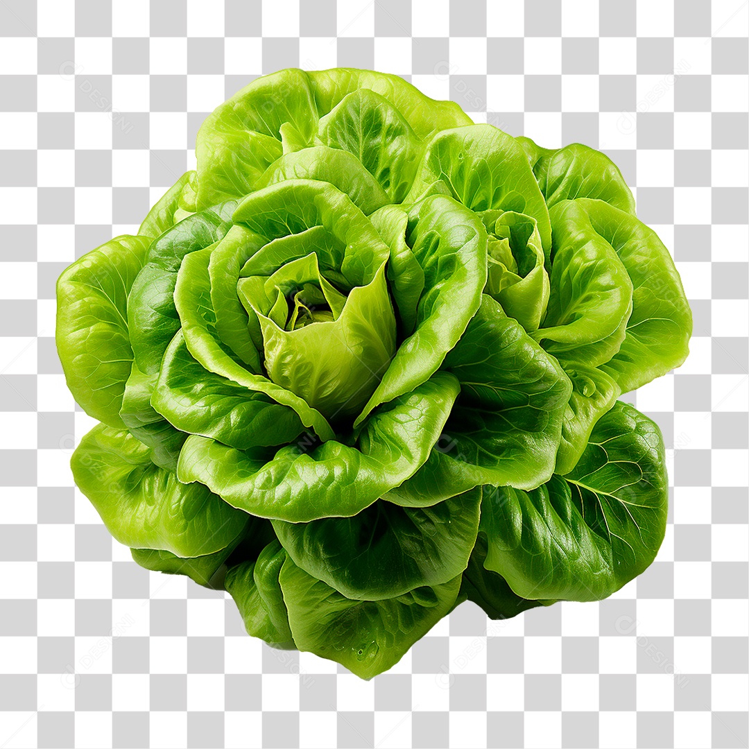 Alface PNG Transparente