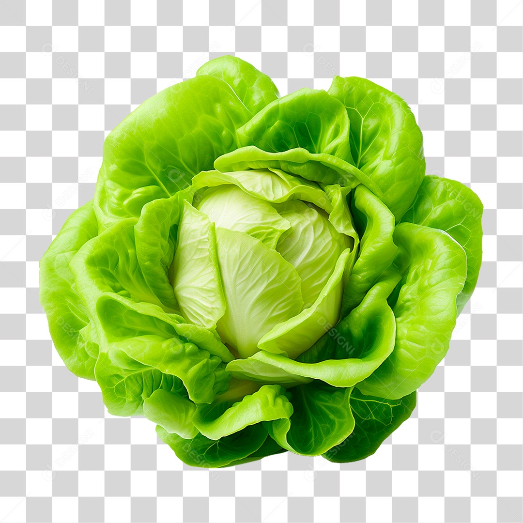 Alface PNG Transparente