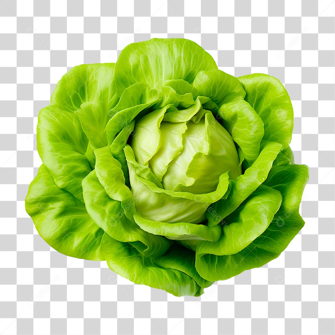 Alface PNG Transparente