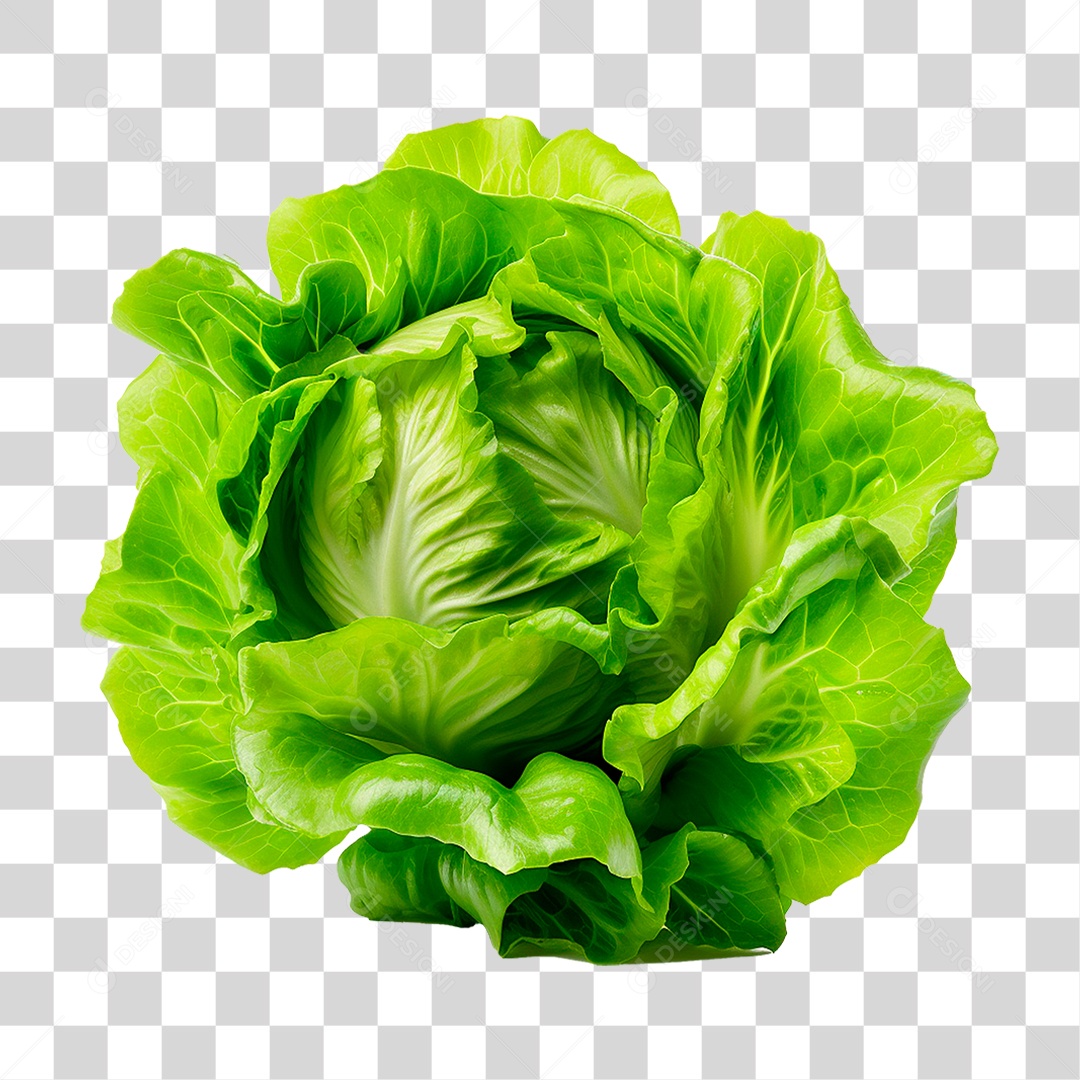 Alface PNG Transparente