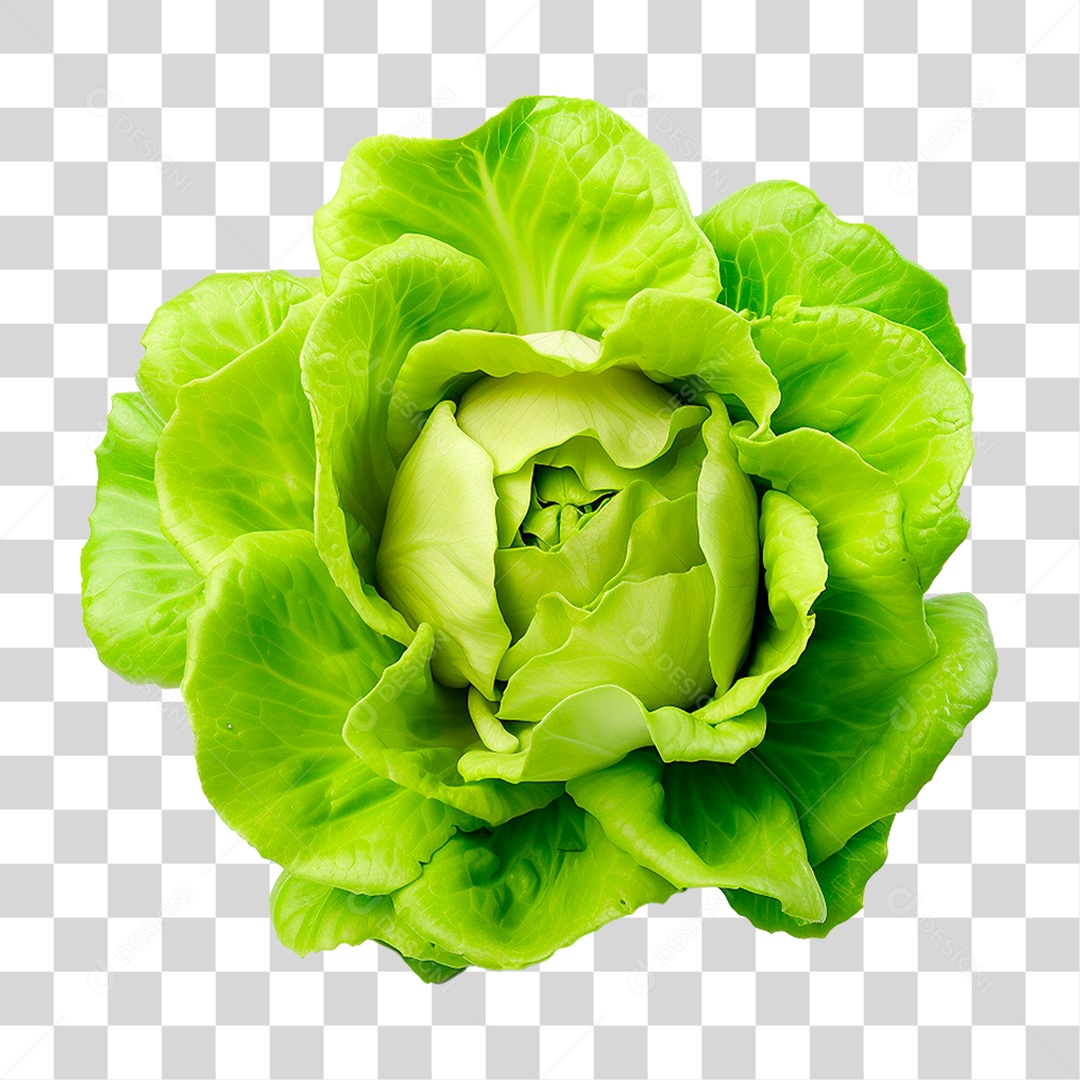 Alface PNG Transparente