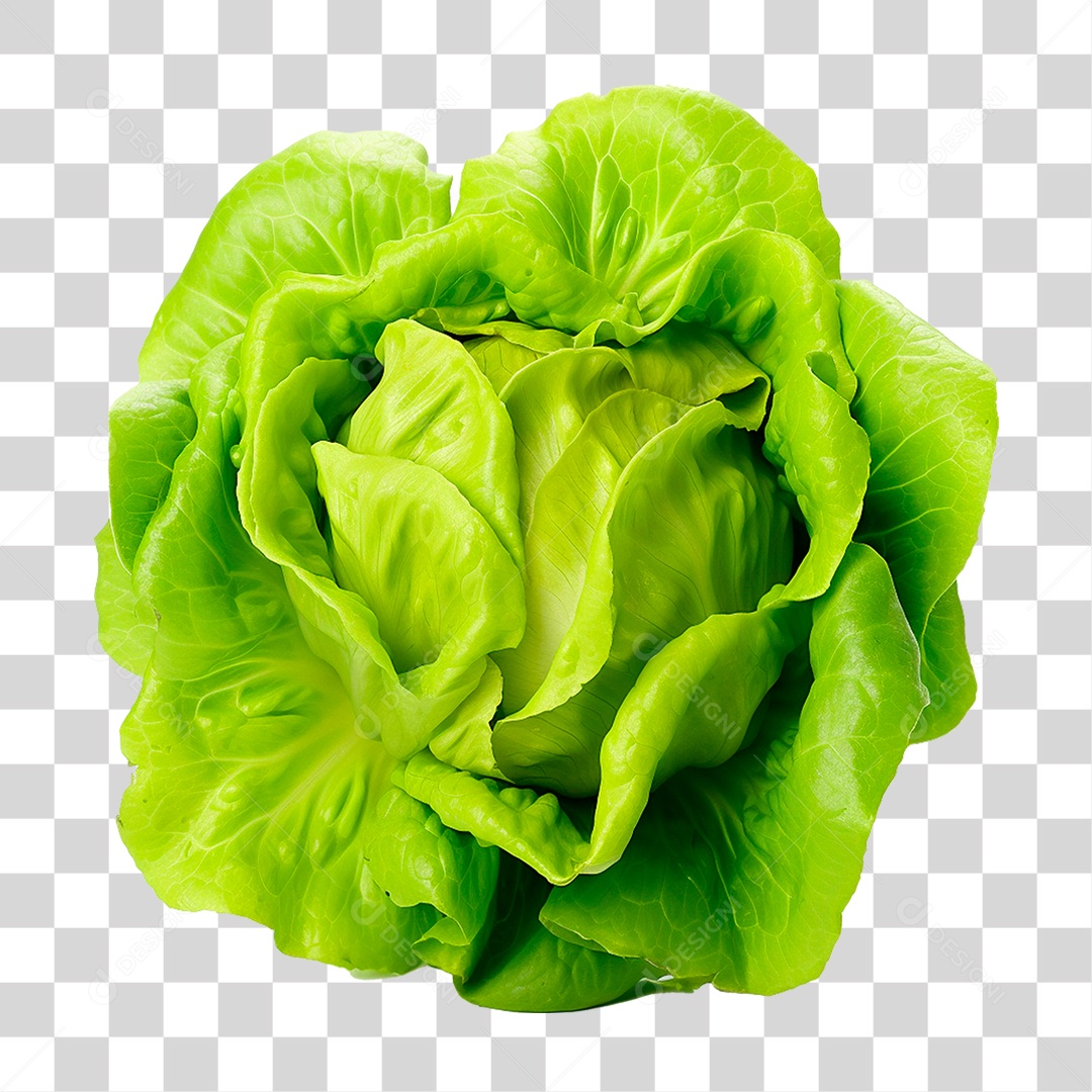 Alface PNG Transparente