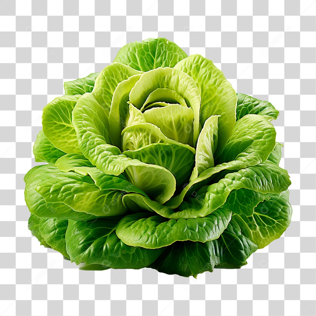 Alface PNG Transparente