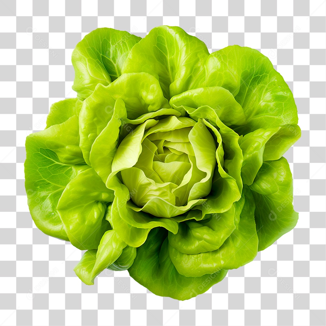 Alface PNG Transparente
