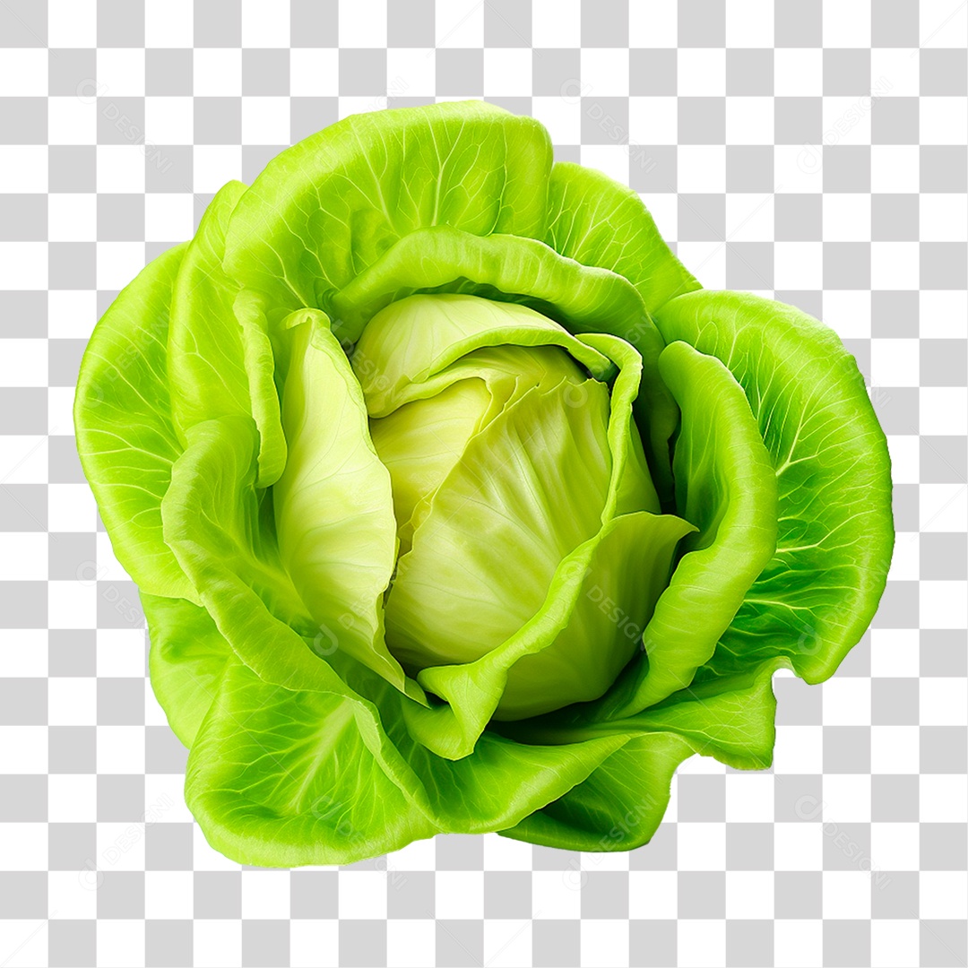 Alface PNG Transparente