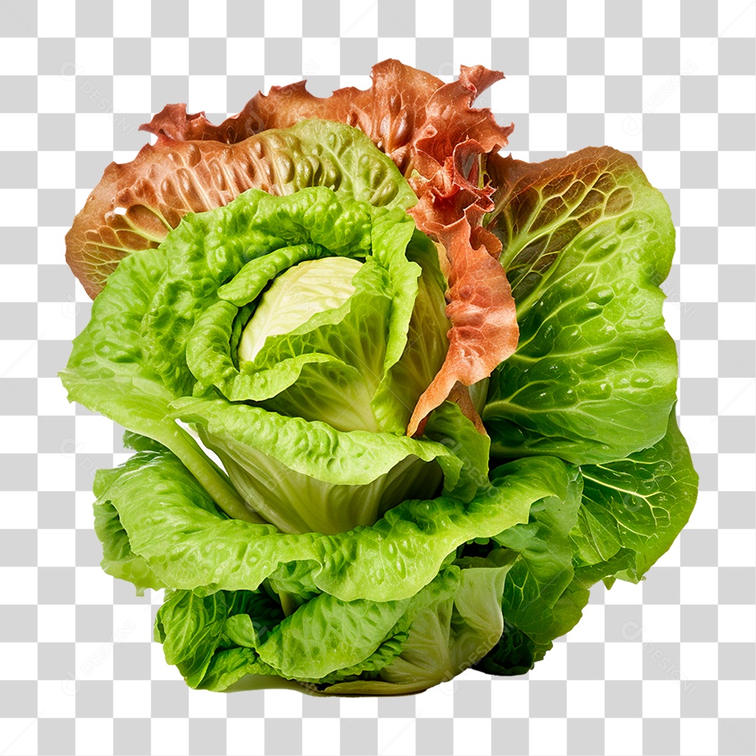 Alface PNG Transparente