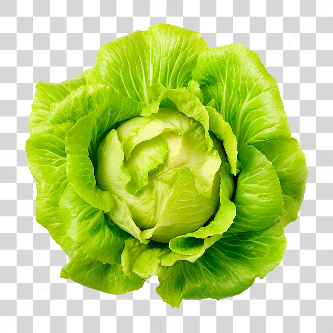 Alface PNG Transparente