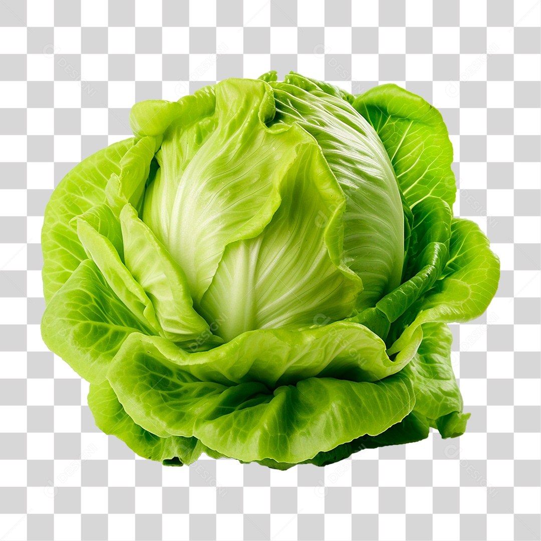 Alface PNG Transparente