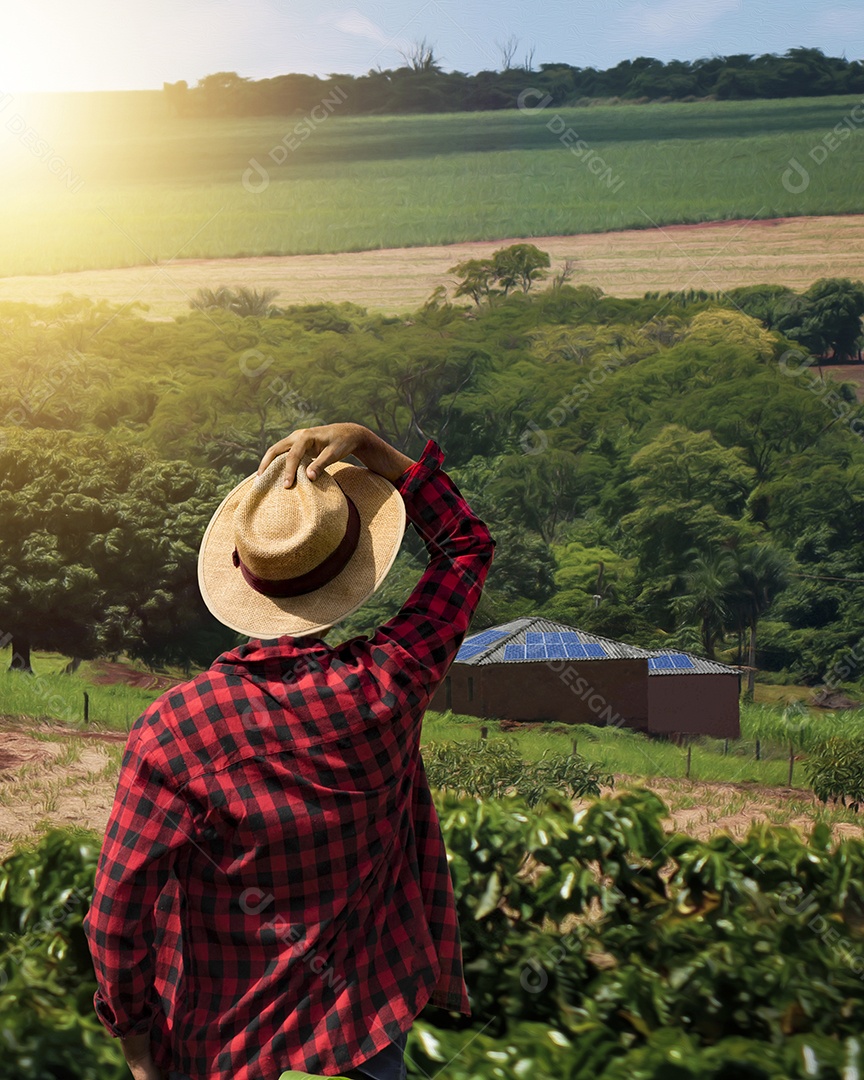 Fazendeiro sobre usina fotovoltaica de energia solar
