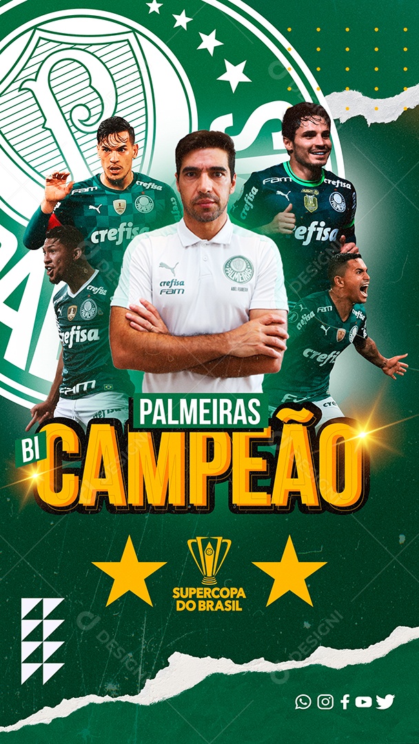 Story Futebol Supercopa Do Brasil Palmeiras Campeão Social Media PSD Editável