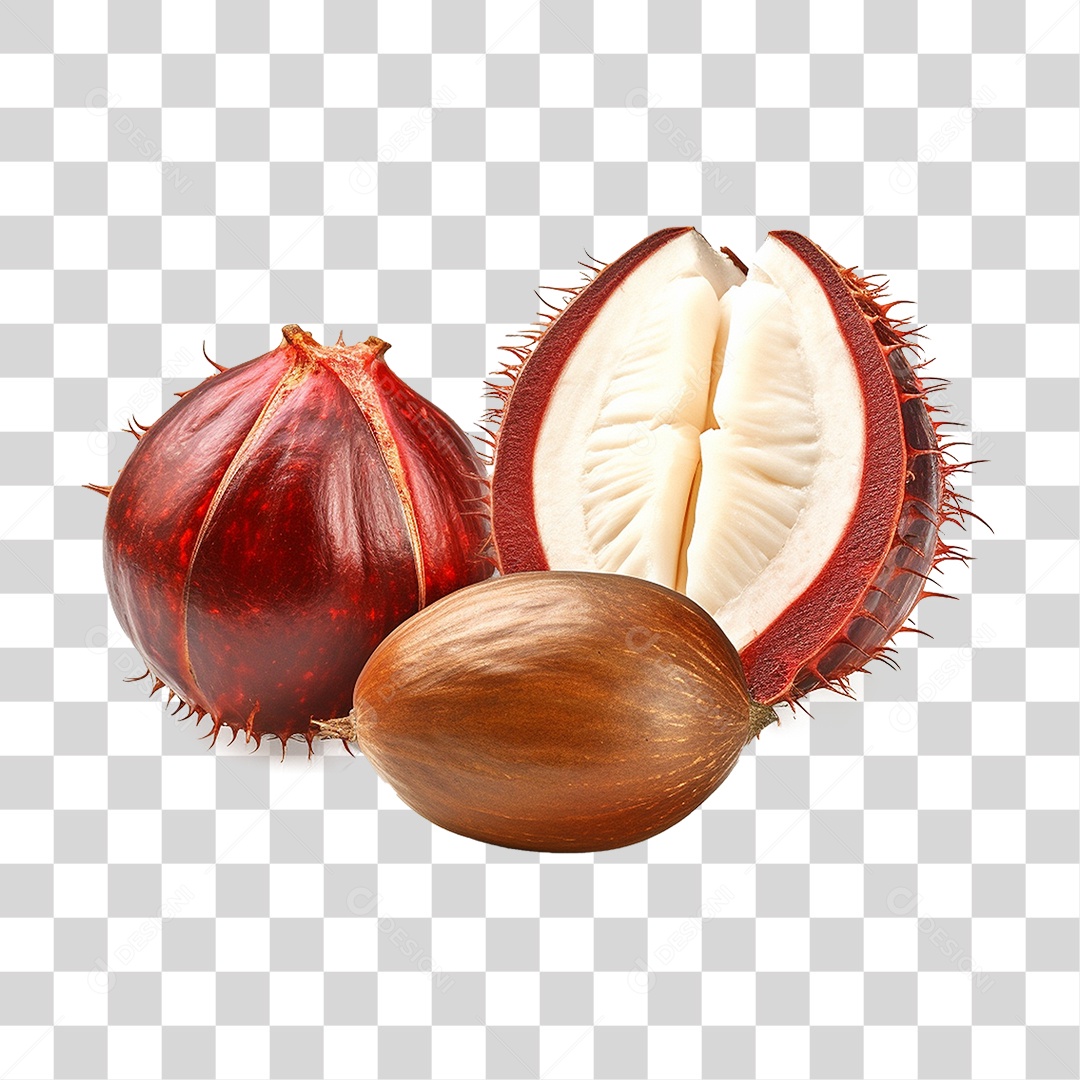 Fruta Castanha de Tonga PNG Transparente