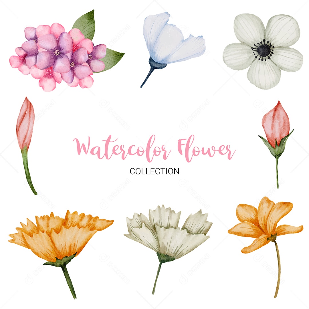 Conjunto de Flores em Aquarela Ilustração Vetor EPS