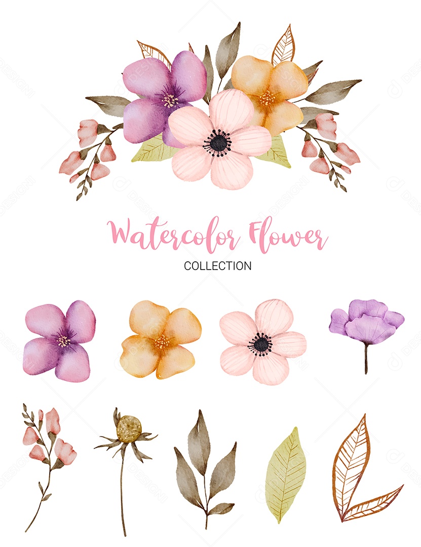 Conjunto de Flores em Aquarela Ilustração Vetor EPS