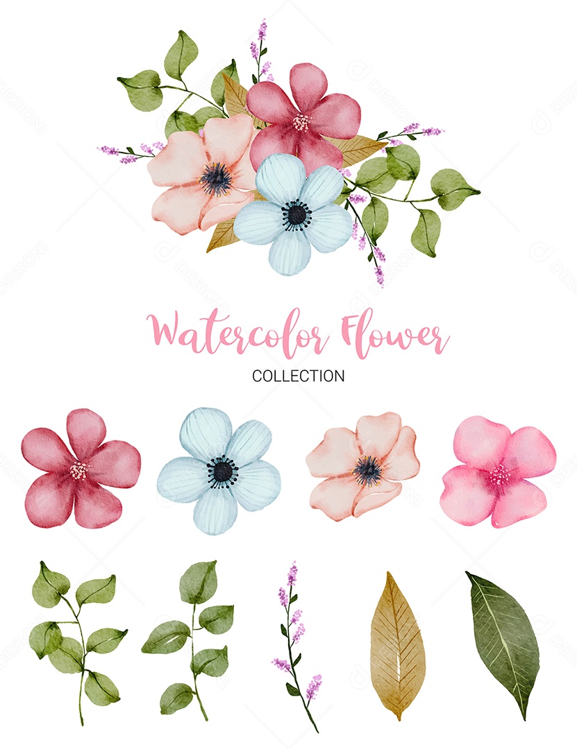 Conjunto de Flores em Aquarela Ilustração Vetor EPS