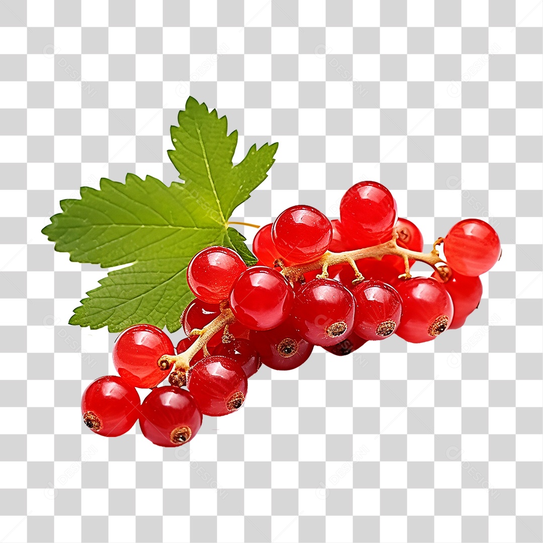 Frutas Groselhas PNG Transparente