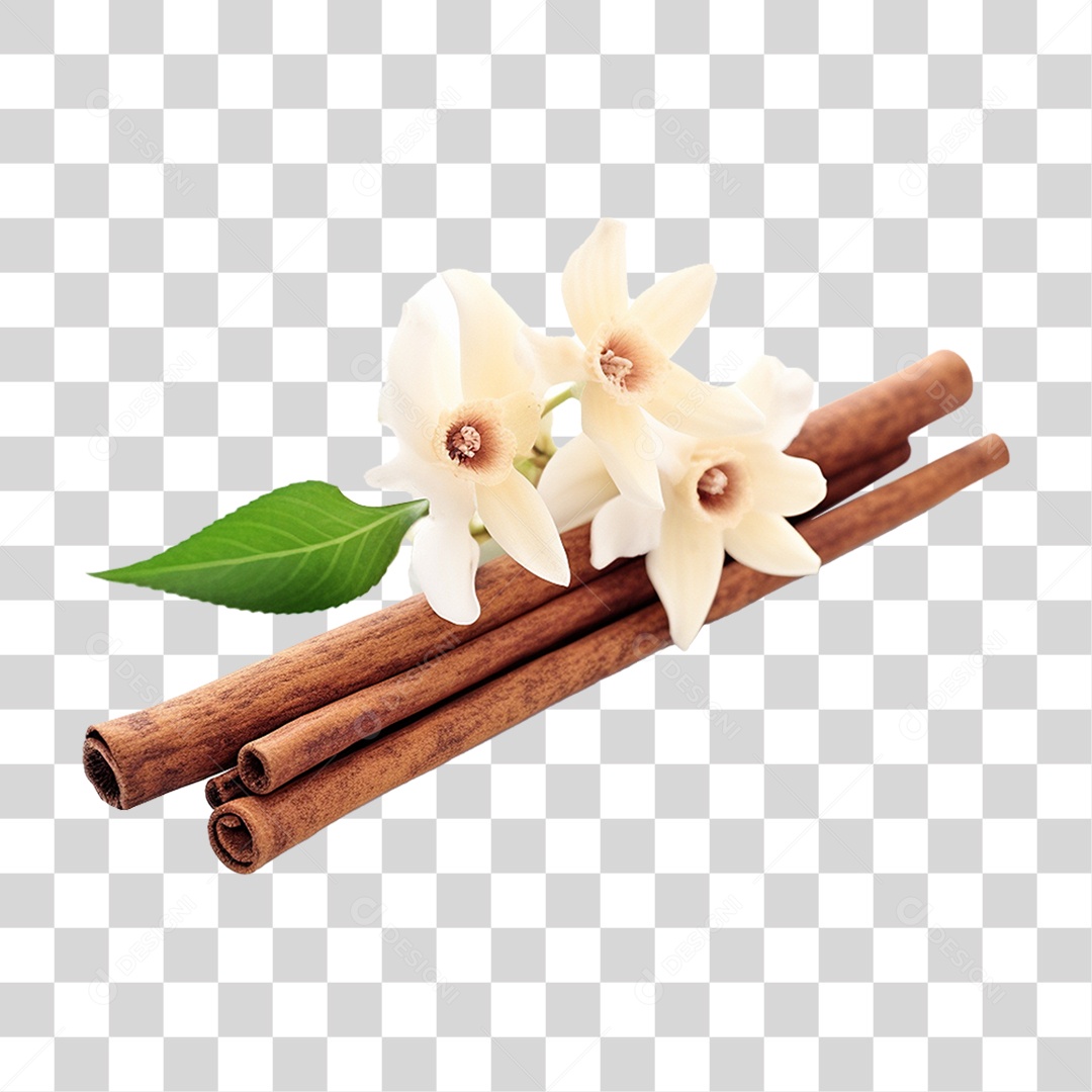 Bastão de Madeira com Flor PNG Transparente