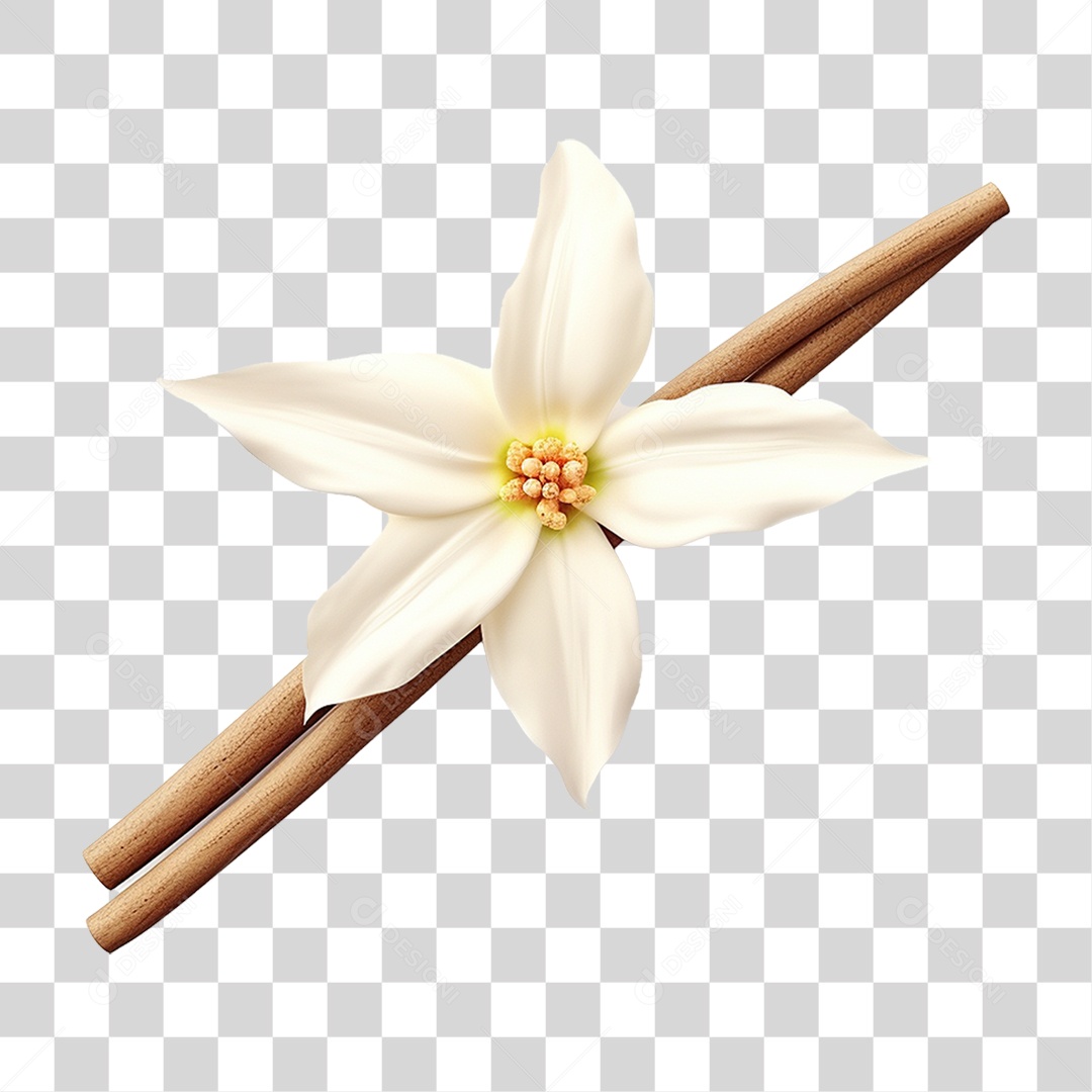 Bastão de Madeira com Flor PNG Transparente