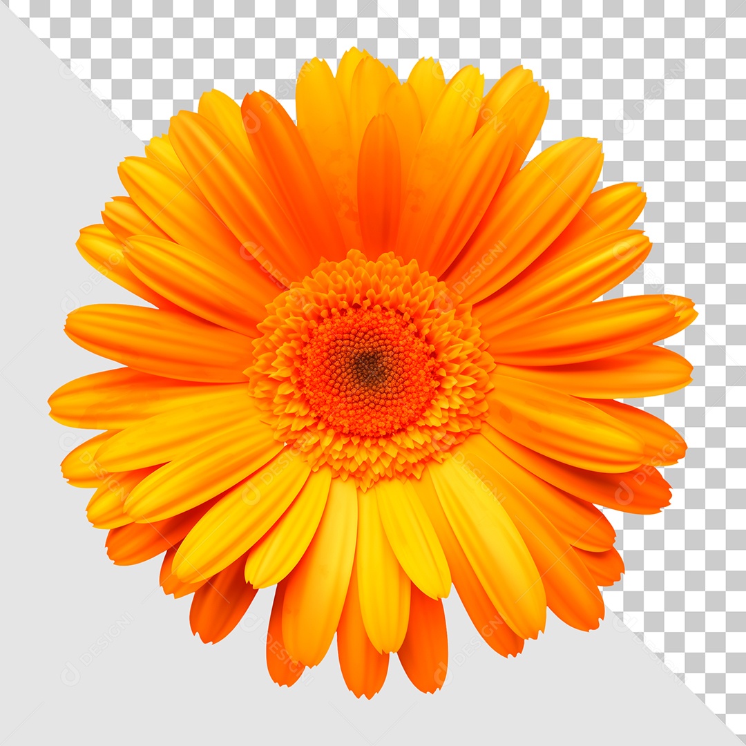 Flor Girassol Elemento 3D Para Composição PSD