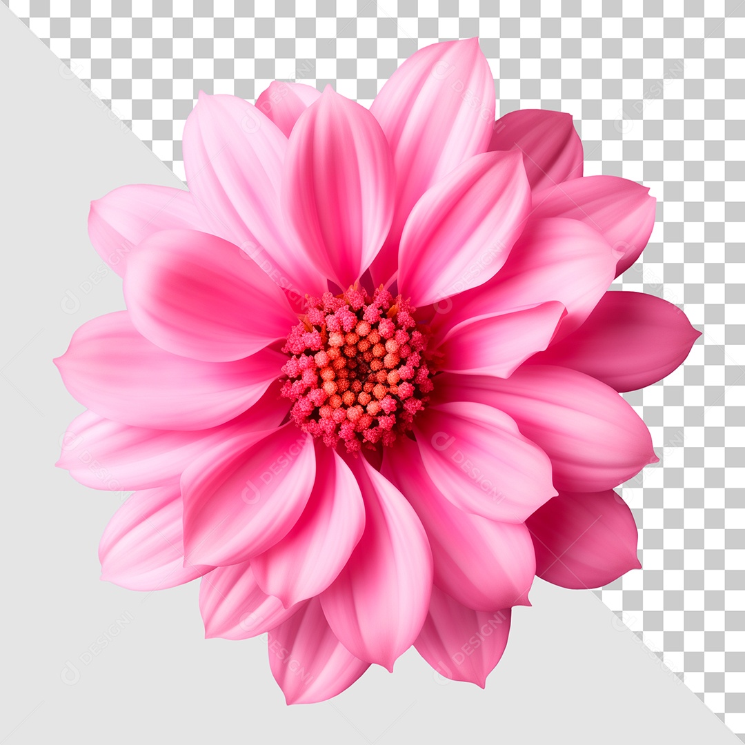Elemento 3D Flor Rosa Para Composição PSD