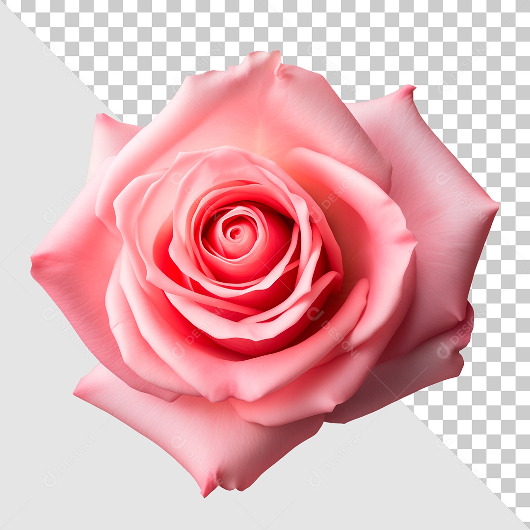 Elemento 3D Flor Rosa Para Composição PSD