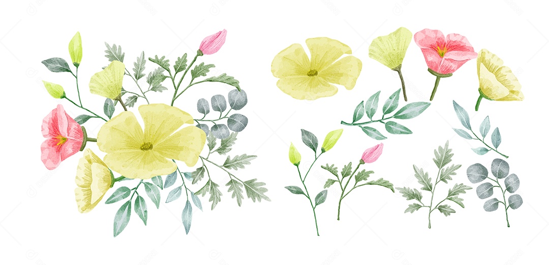 Conjunto de Flores Ilustração Vetor EPS