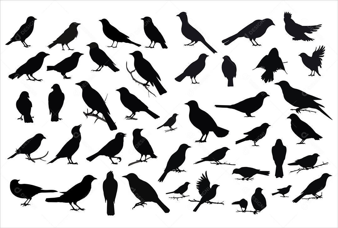 Silhueta de Pássaros Vetor EPS
