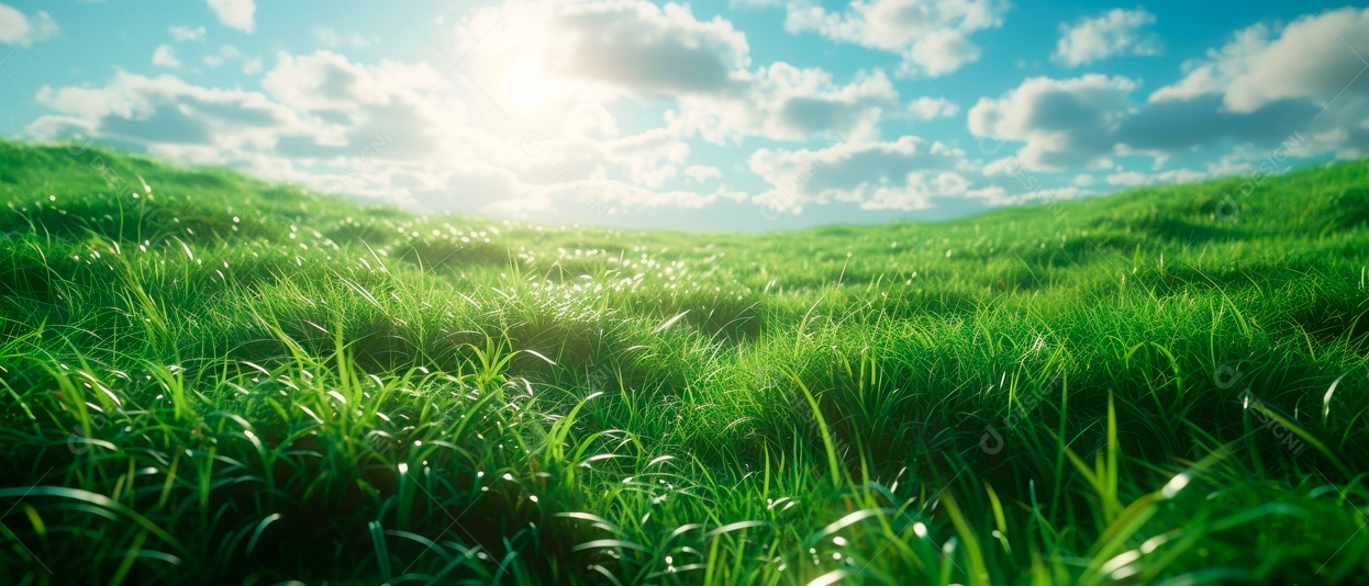 Grama realista baixo ângulo 3D fundo branco IA generativa.