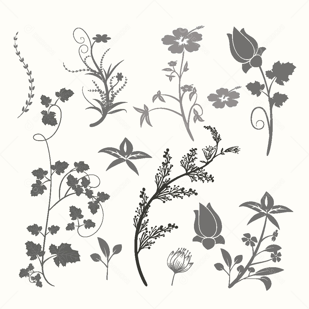 Conjunto de Flores de Ornamento Vetor EPS