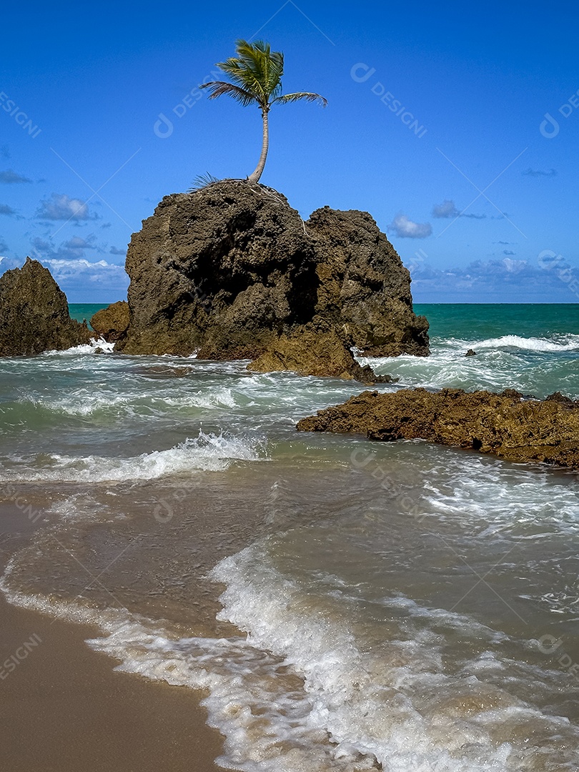 Praia de Tambaba praia naturista no Conde
