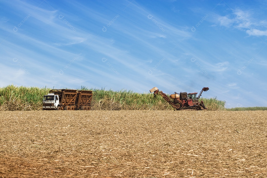 Máquina de colheita trabalhando em uma plantação