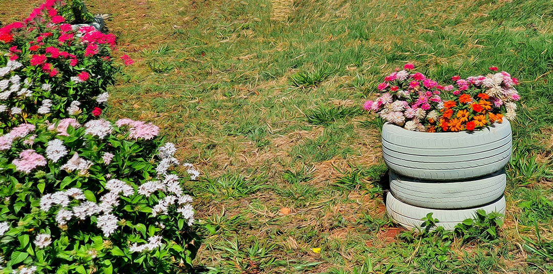 Estilo de vida simples e conceito de imagem verde consciente