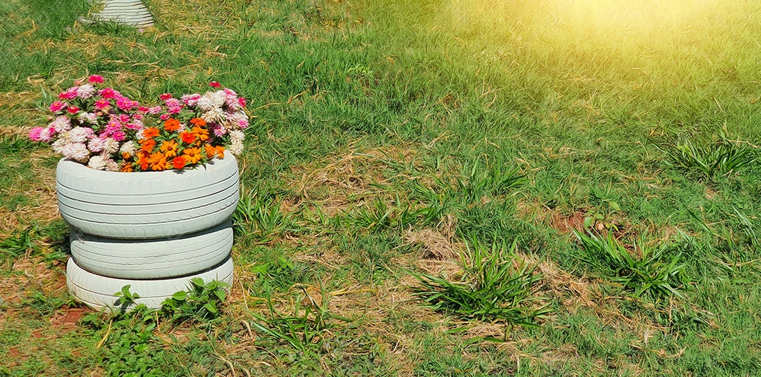 Estilo de vida simples e conceito de imagem verde consciente