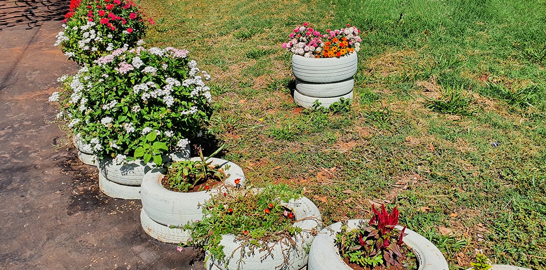 Estilo de vida simples e conceito de imagem verde consciente