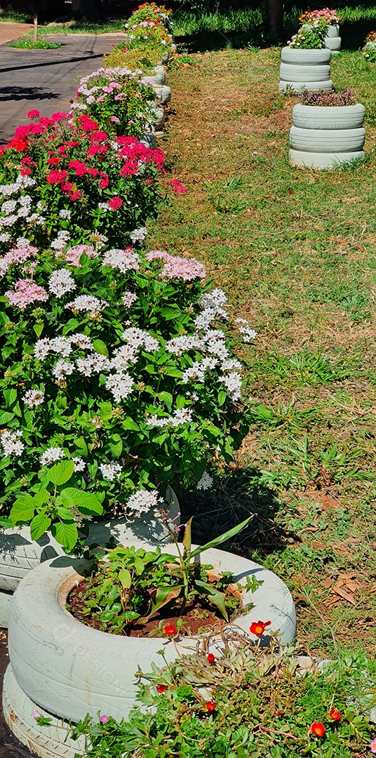 Jardim de flores coloridas feito com materiais recicláveis
