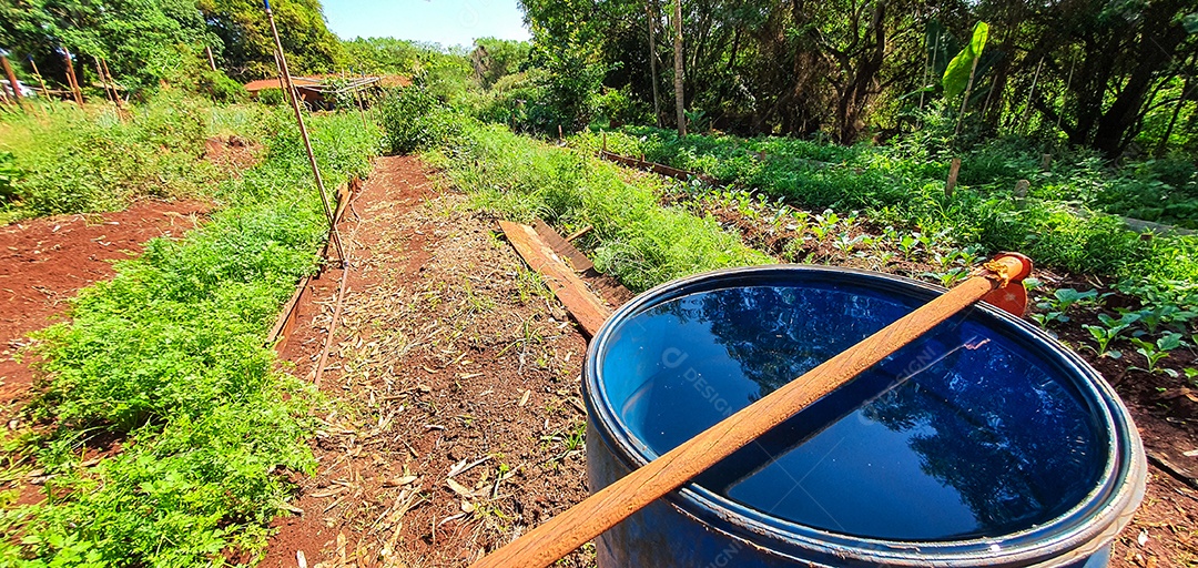 Cultivo de plantas plantação com vários vegetais na fazenda em dia ensolarado espaço para texto