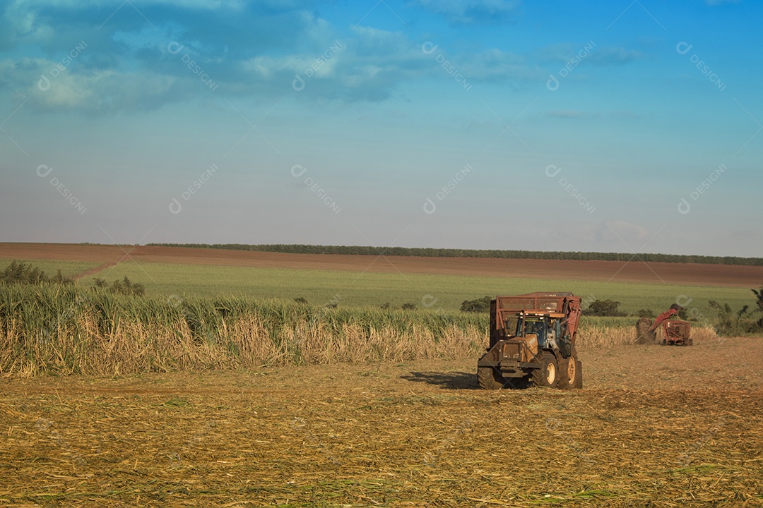 Máquina de colheita trabalhando em uma fazenda de plantação de campo monitorada por drone de cana-de-açúcar
