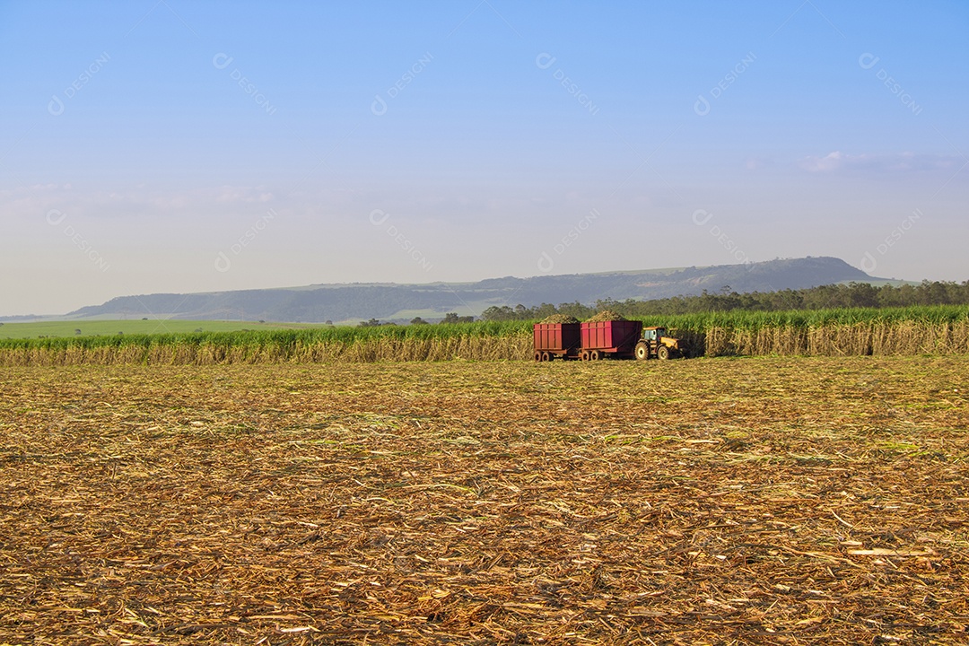 Trator em um campo de plantação