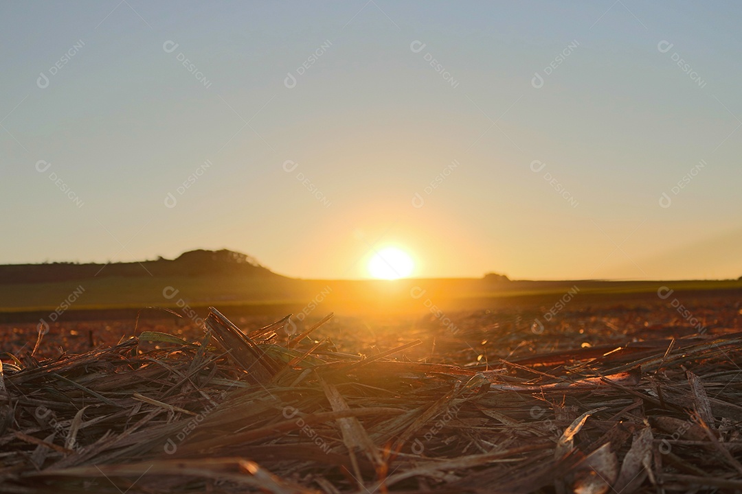 Sol está se pondo sobre campo arado