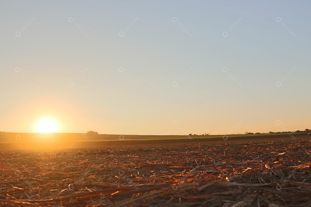 Sol está se pondo sobre campo arado