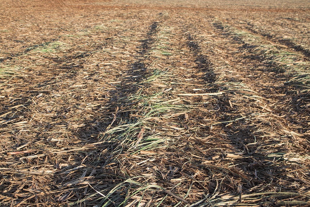 Vista de drone em terra de campo arado para plantação