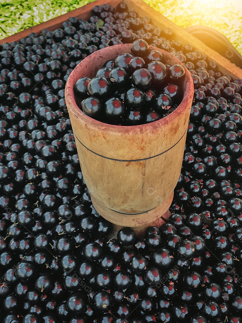 Jabuticaba à venda em uma feira livre