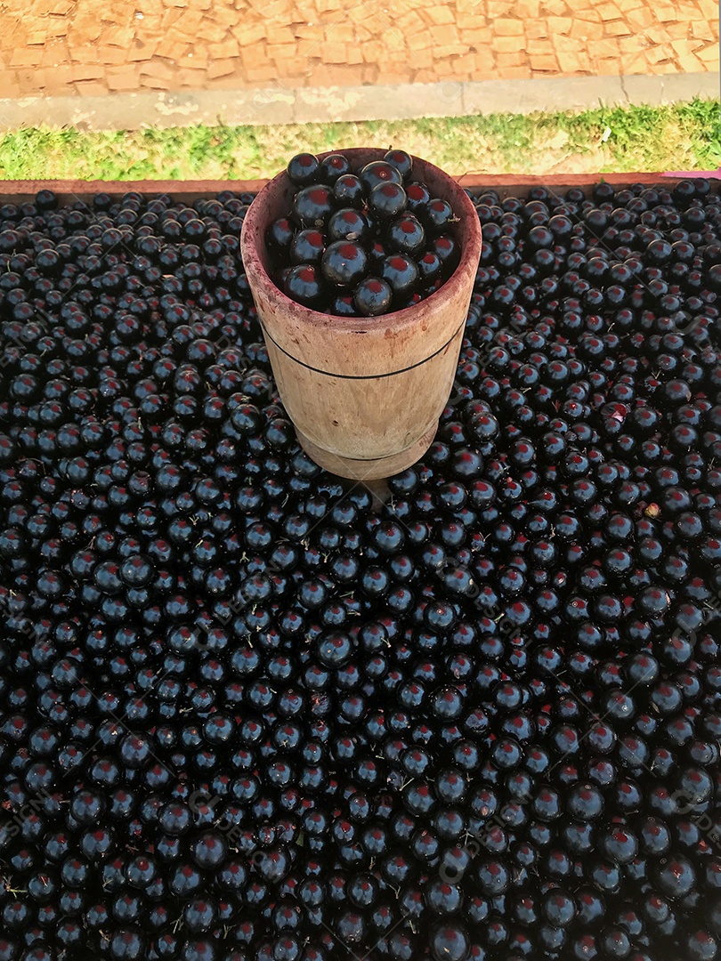Fruta de jabuticaba à venda em uma feira ao ar livre