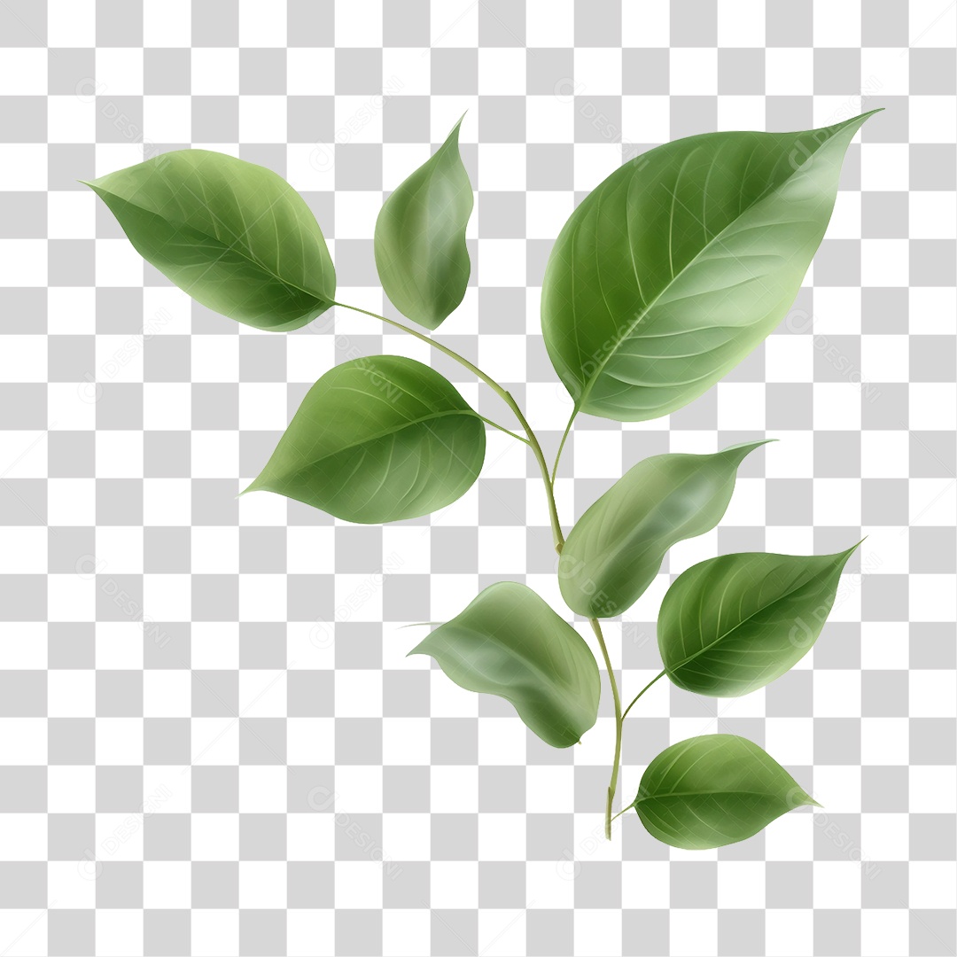 Folhas Galhos PNG Transparente
