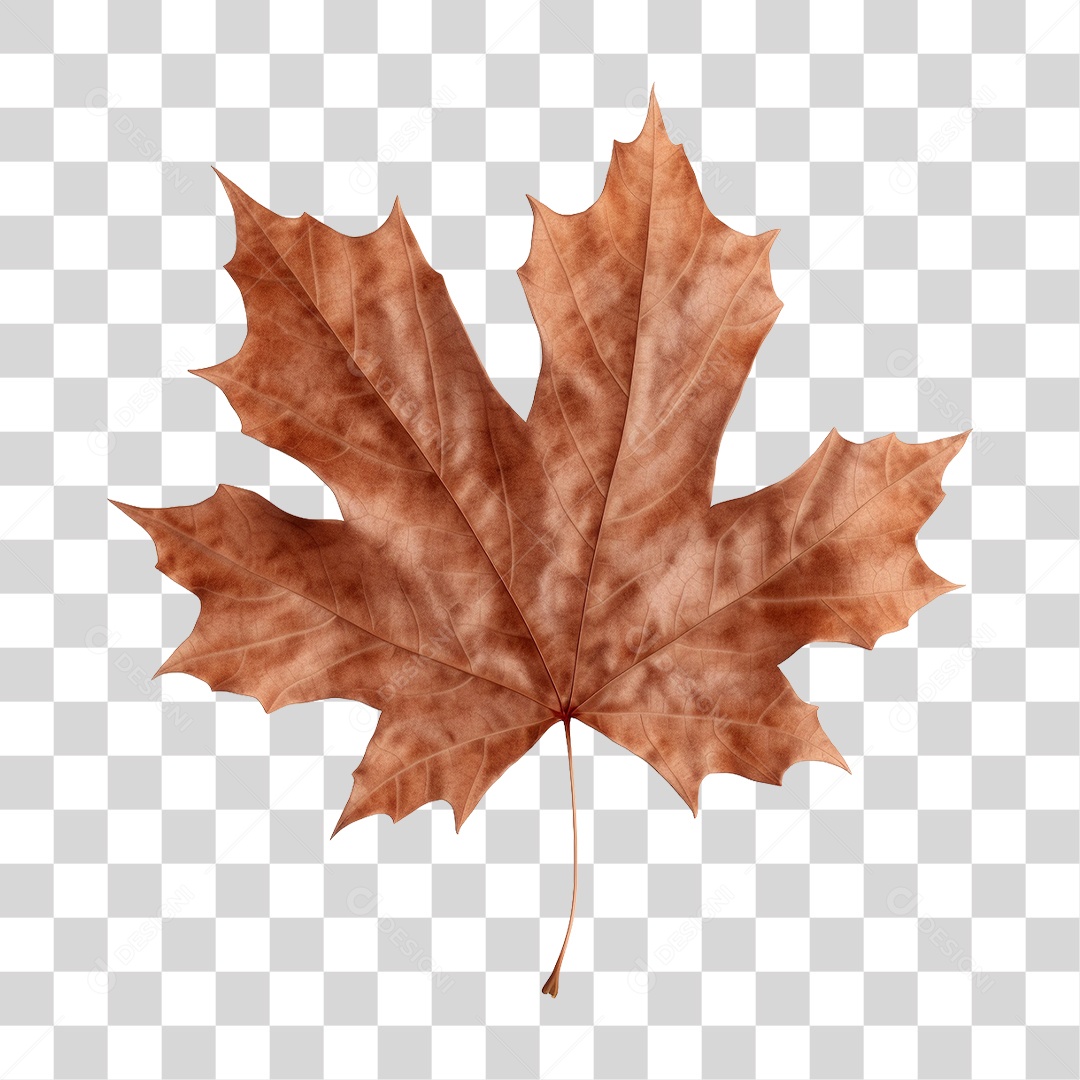 Folha Seca PNG Transparente