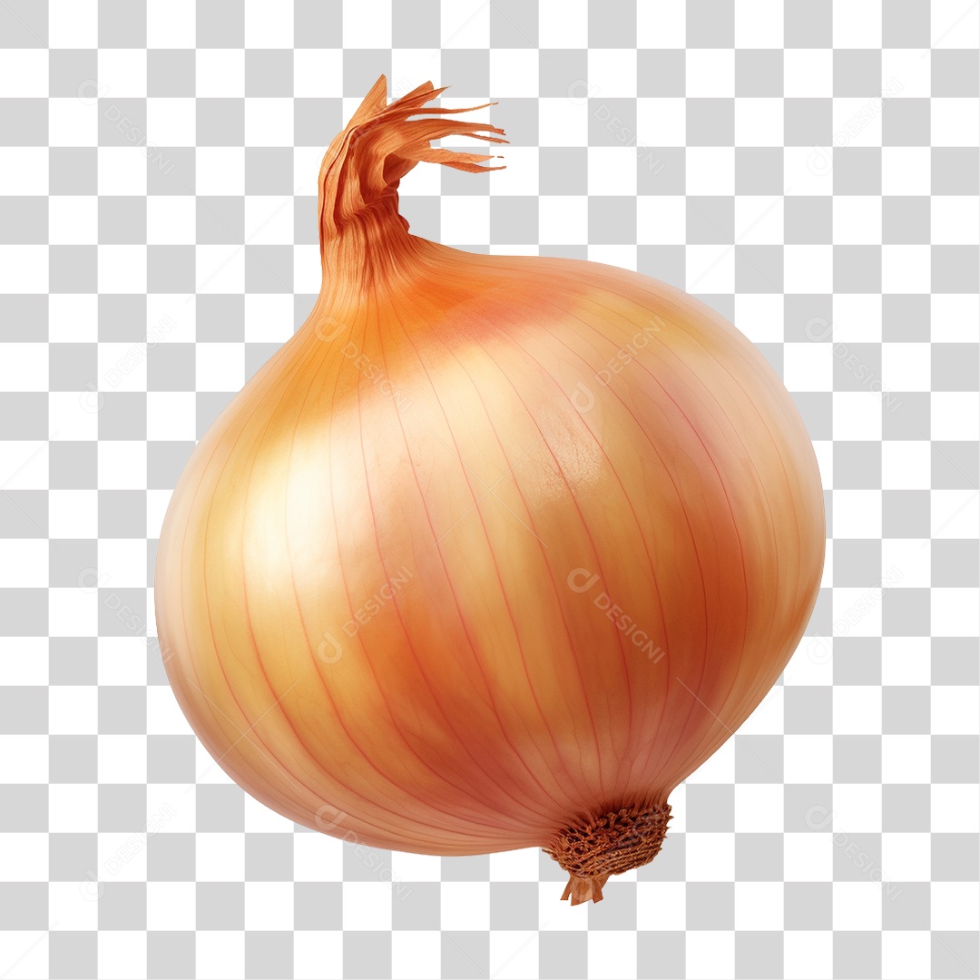 Cebola PNG Transparente