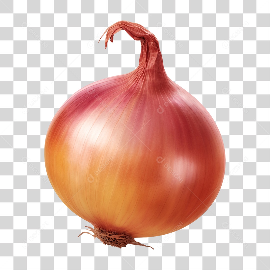 Cebola PNG Transparente