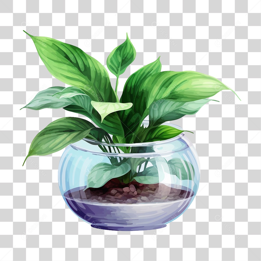 Vazo de Planta Natureza Folhas Jardim PNG Transparente