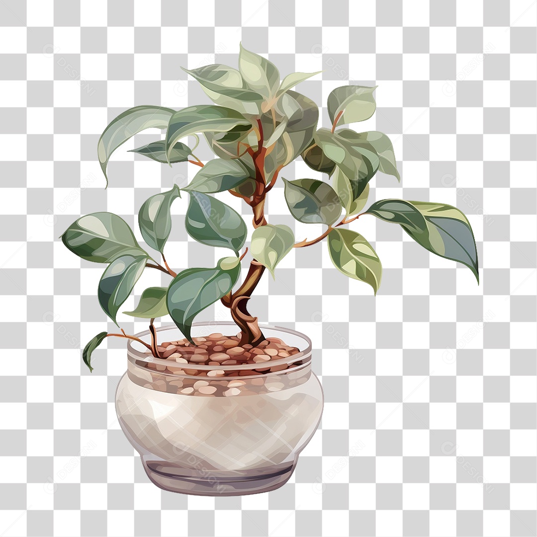 Vazo de Planta PNG Transparente