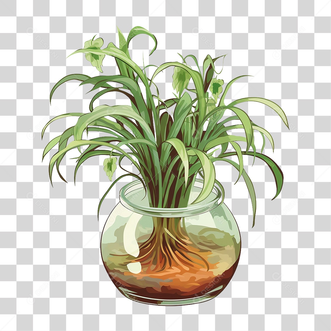 Vazo de Planta PNG Transparente