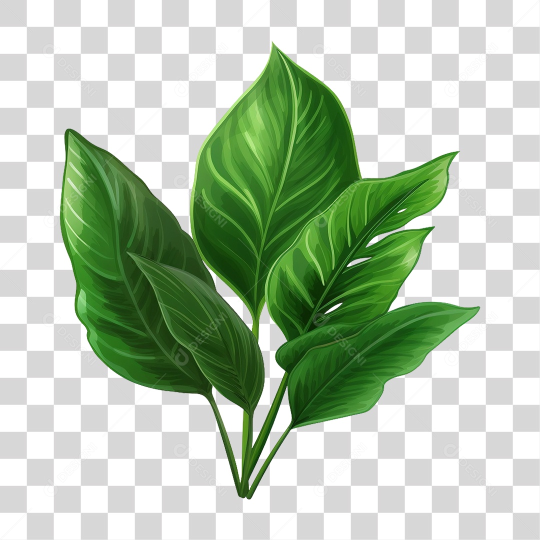 Planta Tropical PNG Transparente